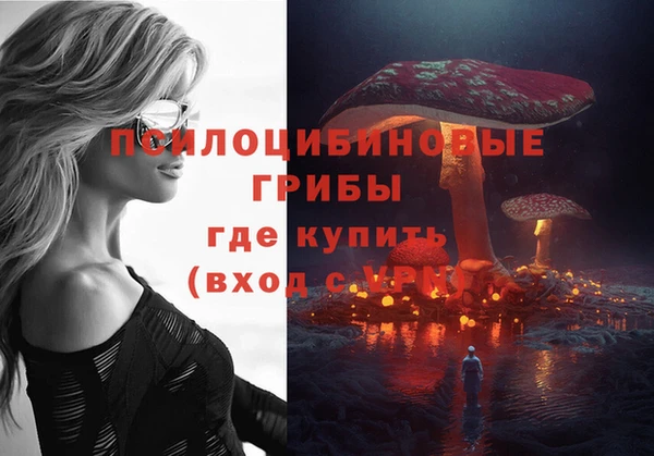 мяу мяу мука Алексеевка